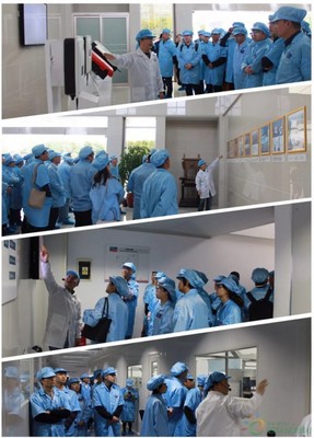 聚享綠色能源，共筑智能未來(lái)——SMA揚(yáng)中工廠開(kāi)放日活動(dòng)圓滿落幕